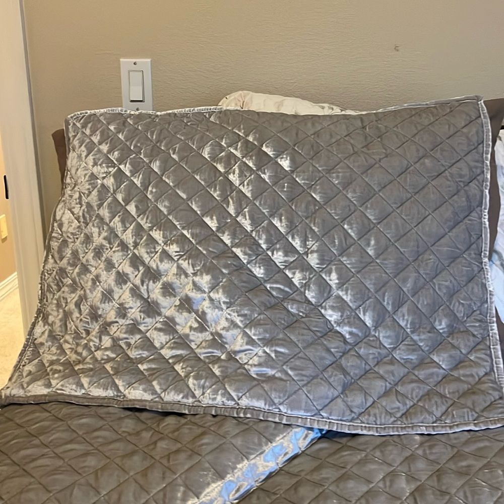 West Elm Silver Velvet Quilted shams